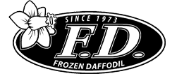Frozen Dafodil